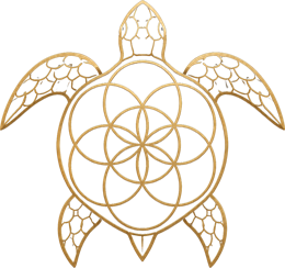 Emre Veçhi artist logo: a turtle with the seed of life as its shell